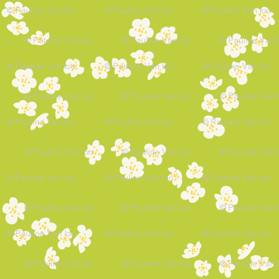 White plum blossom on green