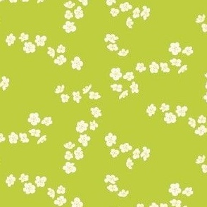 White plum blossom on green