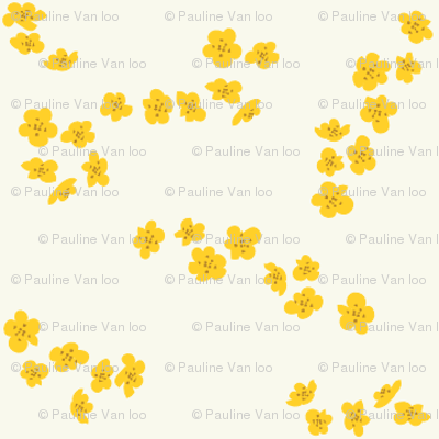 Yellow plum blossom on white