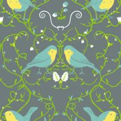 Rrbirds_contest_shop_thumb