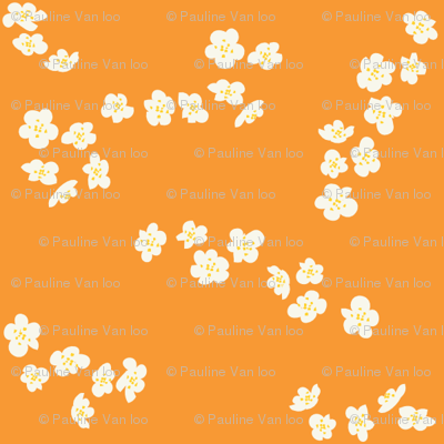 White plum blossom on orange