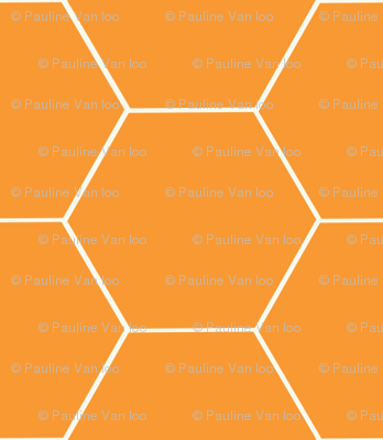 Really Orange Honeycomb