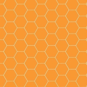 Really Orange Honeycomb