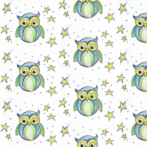owls and stars - joshua