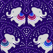 Circus Elephants