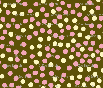 Spotty Dotty