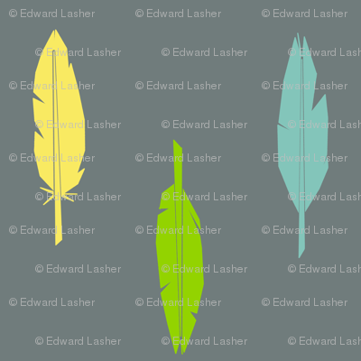 feathers-1