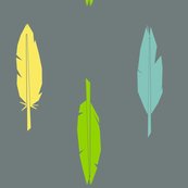 Rfeathers-1_shop_thumb