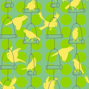 Swinging Canaries