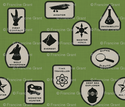 Heroic Merit Badges