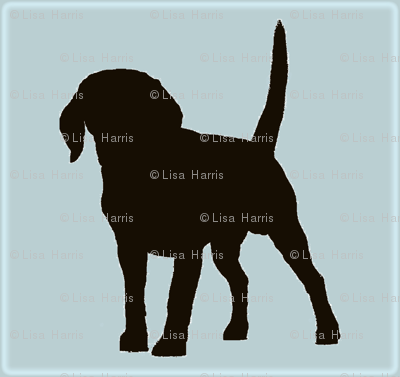 dogonly_copy