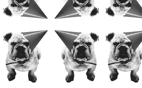 teddy the bulldog fabric by naitze on Spoonflower - custom fabric