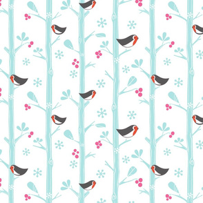 Snow birds