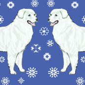 Kuvaszok or Kuvasz white dog