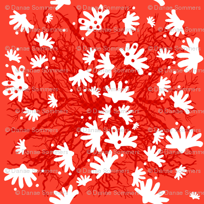 Pōhutukawa Party