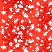 Rrrphutukawa-01_shop_thumb