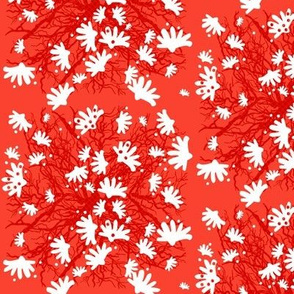 Pōhutukawa Party