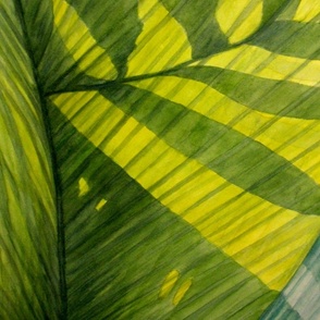 In My Garden