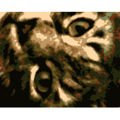 Tiger,Tiger
