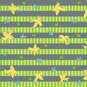  birds striped _1