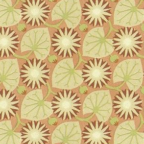 lily pads