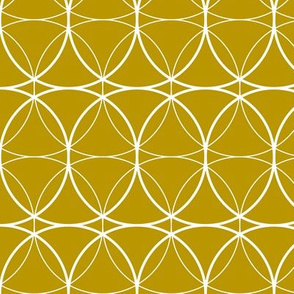 Circles 3