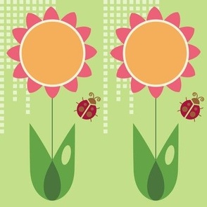 Daisy
