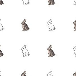 Arctic Hare