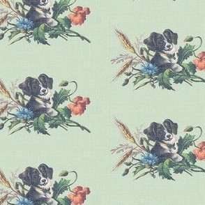 Sweet dog in sweet wheat