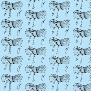 Steed in blue