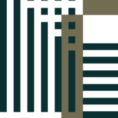 City Flag