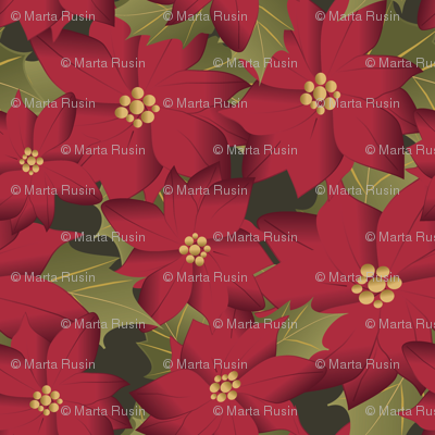 Poinsettia on green