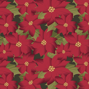 Poinsettia on green