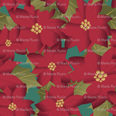 Poinsettia on teal