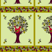 and a partridge in a pear tree