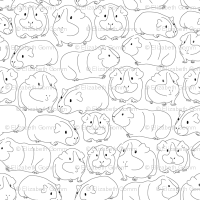 Sketchy Guinea Pigs