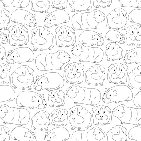 Rguinea-sketch_shop_preview