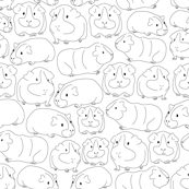 Sketchy Guinea Pigs
