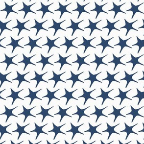 star print version 1