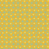 Tangerine_shop_thumb