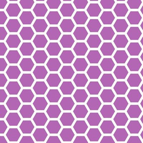 Hive - Purple