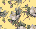 Cream_and_old_roses_thumb
