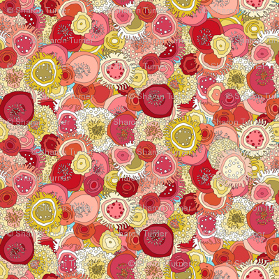 coral garden