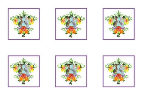 Rrabbitcentered_shop_preview