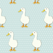Duck Cool on white dots