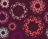 Bursts-plum_thumb
