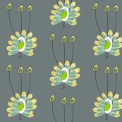 Rrpeacock_three_feathers_shop_thumb