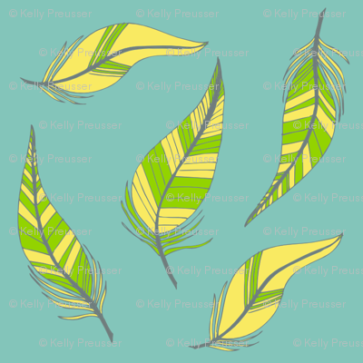feathers