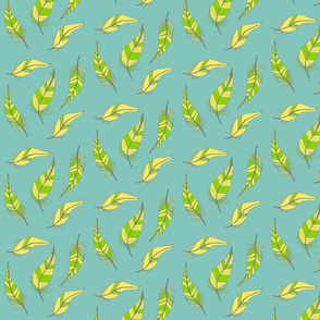 feathers