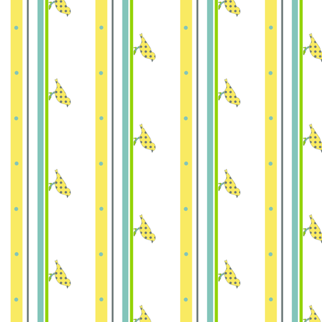birdstripe